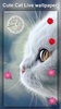 Cute Animated Cat Wallpapers screenshot 4