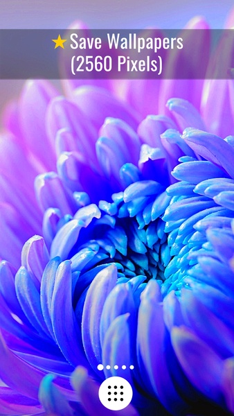 Macro Wallpapers - Preview 5