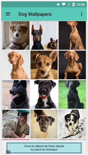 Dog Wallpapers (HD) - Preview 1