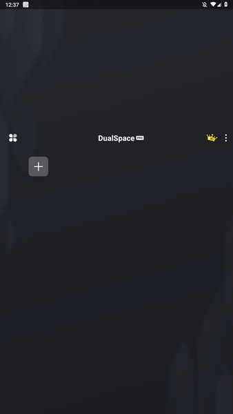 Dual Space Pro - Preview 3