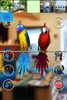 Talking Parrot Couple Free screenshot 3