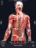 My Muscle Anatomy screenshot 6