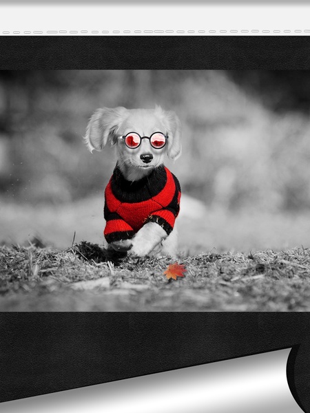 Color Effects Free - Preview 7
