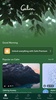 Calm - Sleep, Meditate, Relax screenshot 1