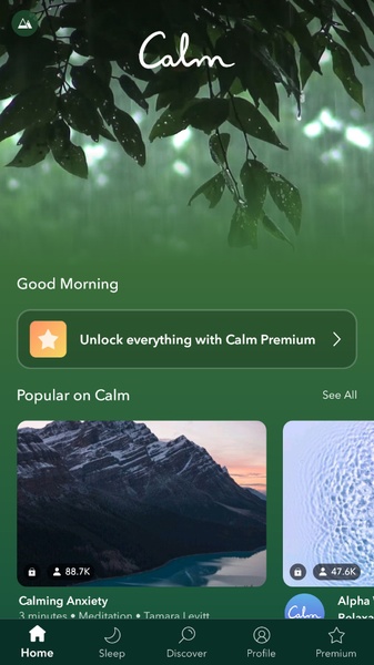 Calm - Preview 1