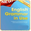 English Grammar in Use screenshot 3
