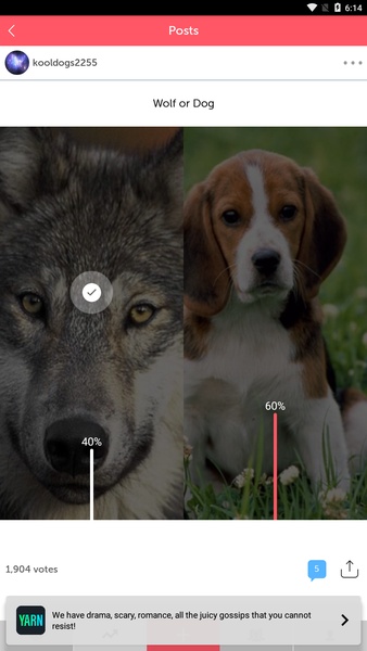 Wishbone - Preview 2