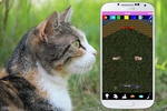 Cat Care Virtual Pet screenshot 1