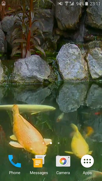 Koi Fish 3D - Preview 5