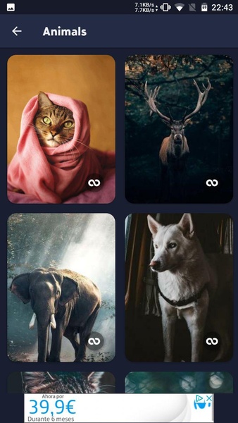 Wallwrap - Preview 8