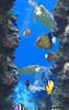 Aquarium screenshot 6