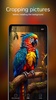Parrot Wallpapers 4K screenshot 3