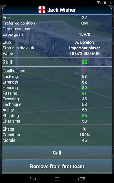 True Football National Manager - Preview 3
