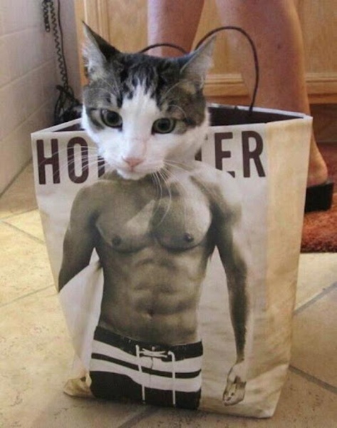 Funny Photoshop Images - Preview 4