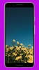 Flowers Wallpaper & Background screenshot 7