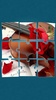 Roses Jigsaw Puzzle screenshot 11