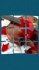 Rosen Puzzle Spiele screenshot 11