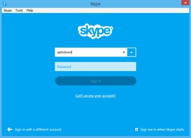 Skype screenshot 7