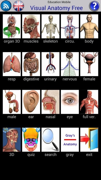 Visual Anatomy Free - Preview 17