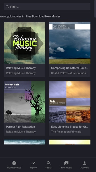 MusVid - free music & music video - Preview 1