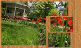 Photo Jigsaw Puzzle screenshot 1