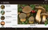 Book of mushrooms screenshot 7