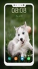 Husky Puppy Wallpapers screenshot 6