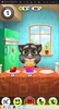 My Talking Tom (GameLoop) screenshot 4