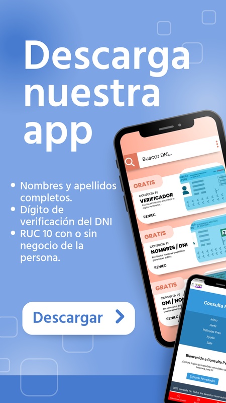Consulta PE APK Screenshot 1 - Interfaz de consulta de DNI
