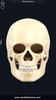 Skull Anatomy Pro. screenshot 14