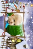 Kids PhotoFrames screenshot 1