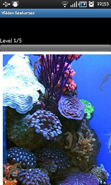 Hidden Seahorses - Preview 2