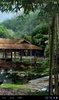 Японский сад 3D screenshot 4