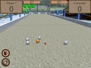 3D Bocce Ball: Hybrid Bowling & Curling Simulator screenshot 4