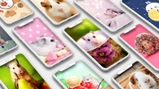Cute Hamster Wallpapers screenshot 7