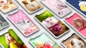 Cute Hamster Wallpapers screenshot 7