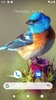 Bird Wallpaper HD screenshot 7