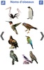 تعليم أسماء الطيور باللغة الفرنسية screenshot 2
