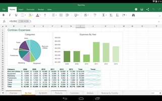 Microsoft Excel screenshot 2