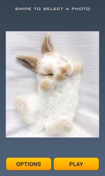 Cute Rabbits Puzzle - Preview 4