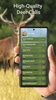 Deer Calls screenshot 3