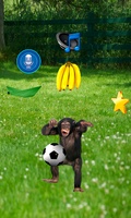 Real Talking Monkey for Android 3