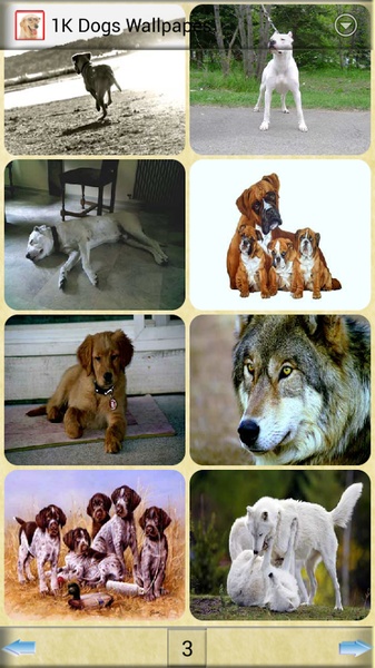 1K Dogs Wallpapes - Preview 2