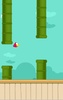 Flap The Bird screenshot 7