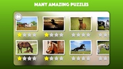 Horse and Pony jigsaw puzzles screenshot 4
