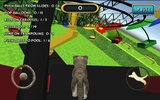 Animal Cat simulator screenshot 5