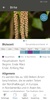 Husteblume - die Allergie-App screenshot 3