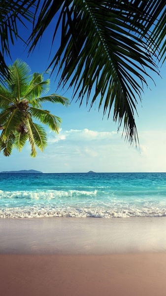 Beach Live Wallpaper - Preview 2