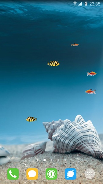 aquarium - Preview 7