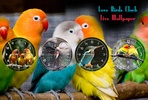 Love Birds Clock Live Wallpaper screenshot 5
